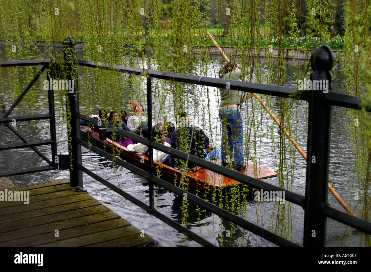 Punting sul fiume Cam Foto Stock
