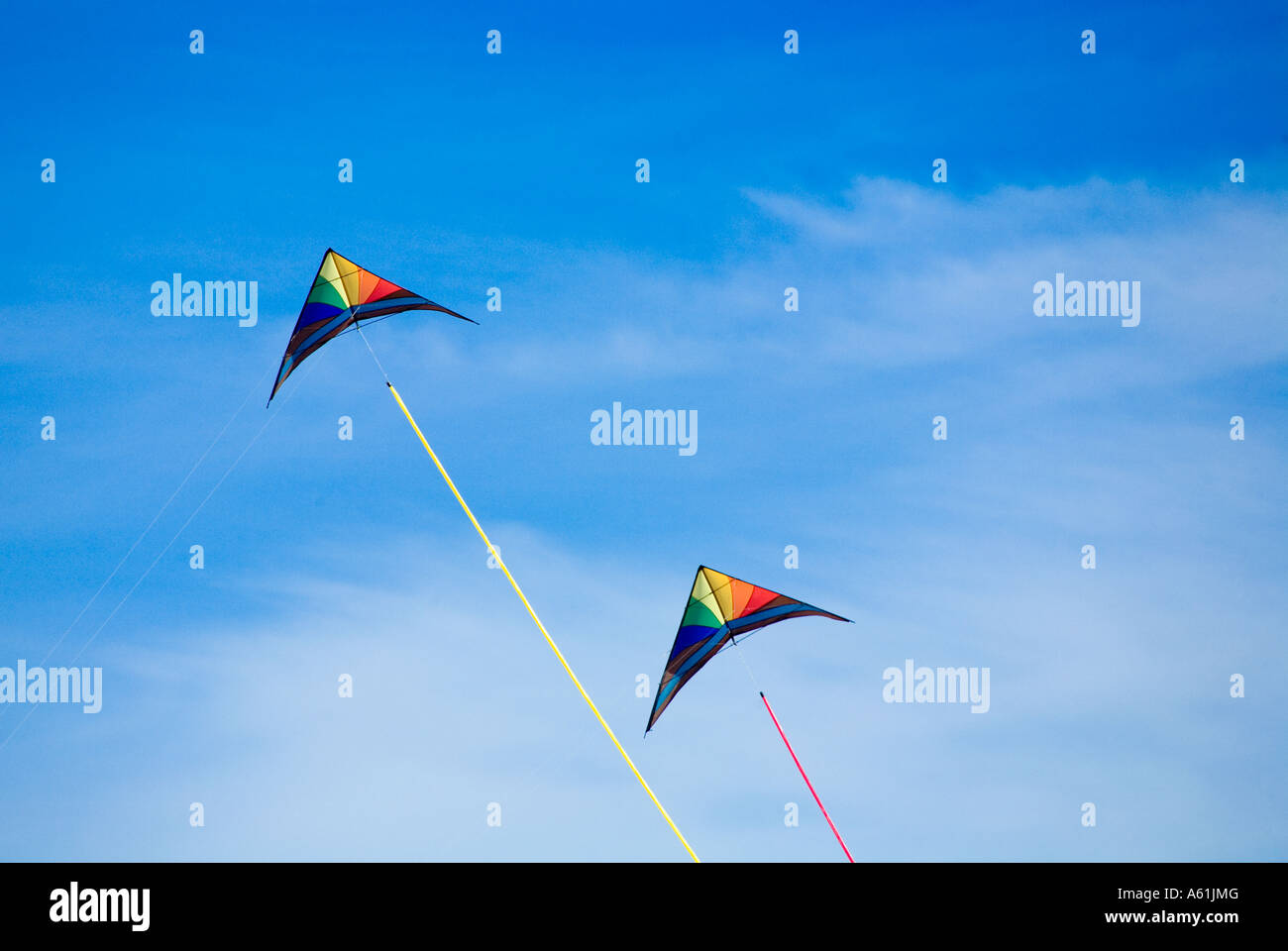 Rainbow aquiloni volare in un cielo blu Foto Stock