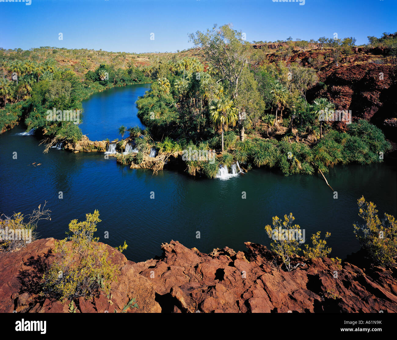 Indarri cade sul prato Hill Creek Boodjamulla nel Parco Nazionale di Prato in precedenza Hill nel nord-ovest del Queensland Australia Foto Stock