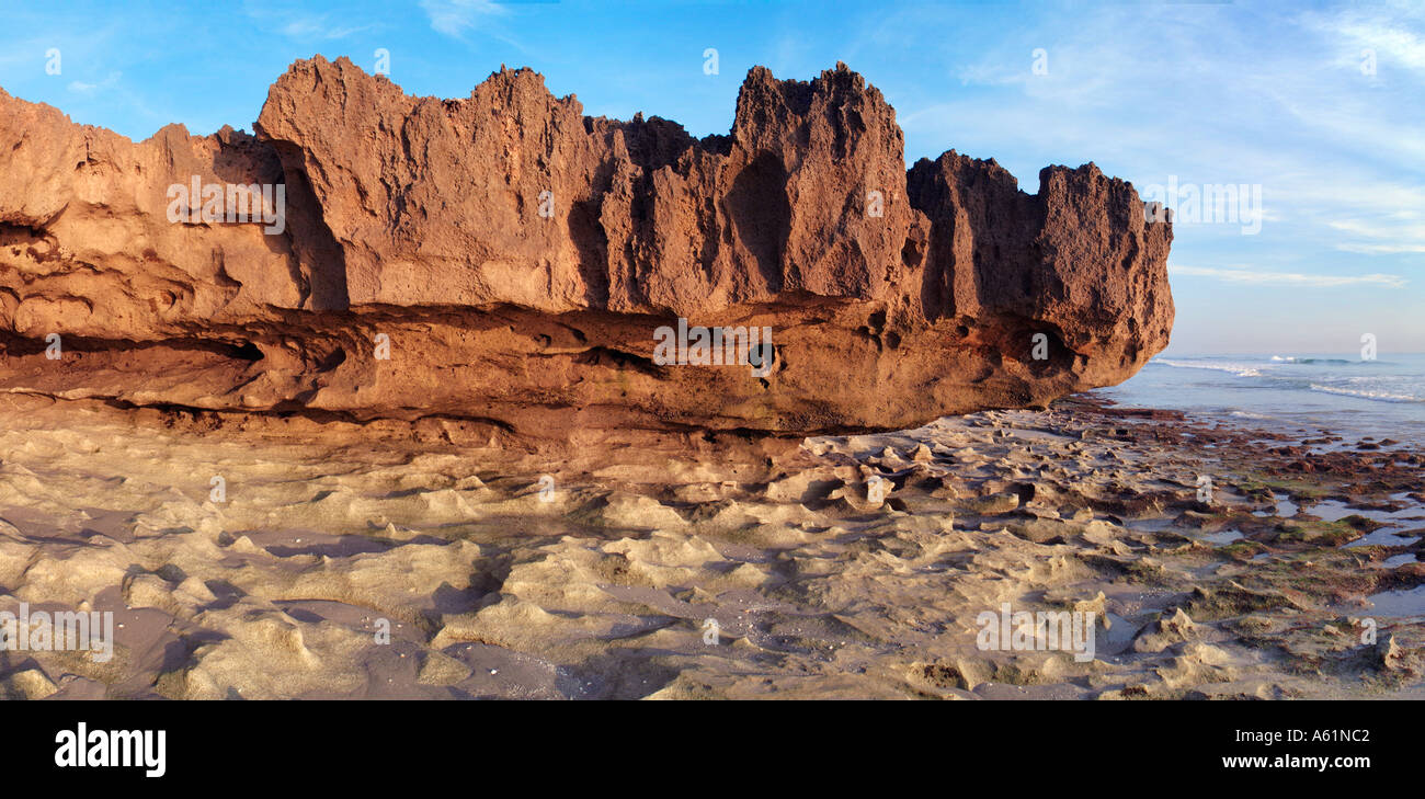 Costa rocciosa di Hutchinson Island Martin County Stuart Florida Foto Stock