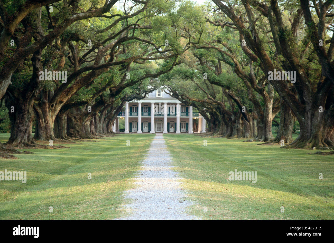 Percorso verso mansion, Oak Alley Plantation Mansion, Vacherie, Louisiana, Stati Uniti d'America Foto Stock