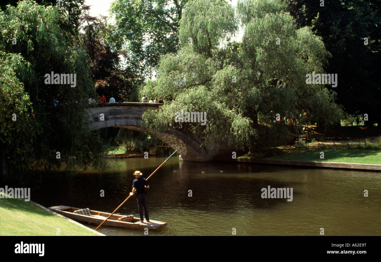 Cambridge, Parklandschaft, am King's College Foto Stock