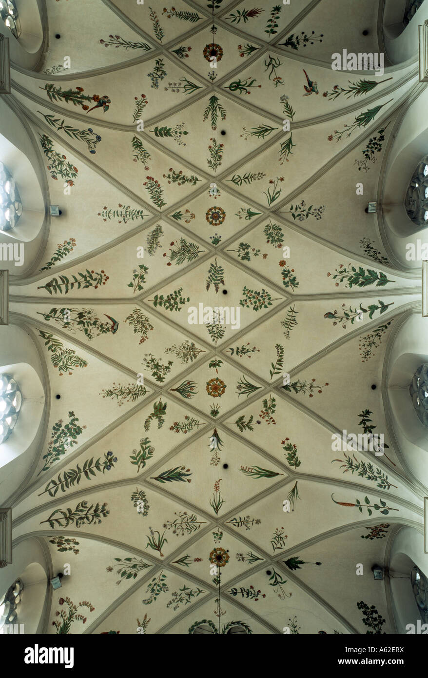 Bamberg, Kloster San Michele, im Gewölbe Mittelschiff mit Kräutern und Papageien Foto Stock