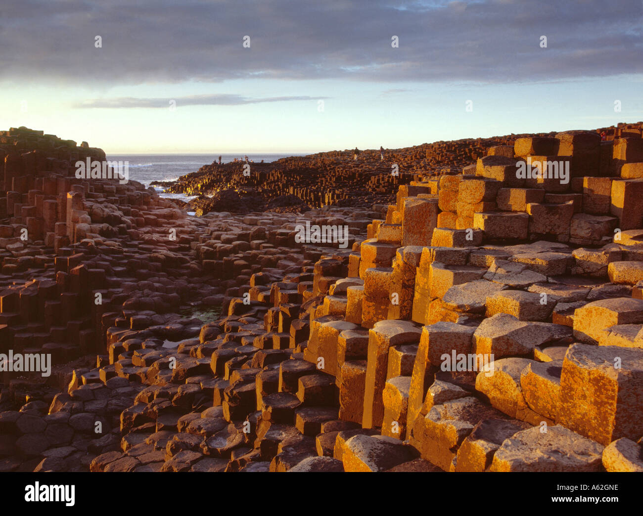 Le formazioni rocciose sulla costa, giganti Causeway, County Antrim, Irlanda del Nord Foto Stock