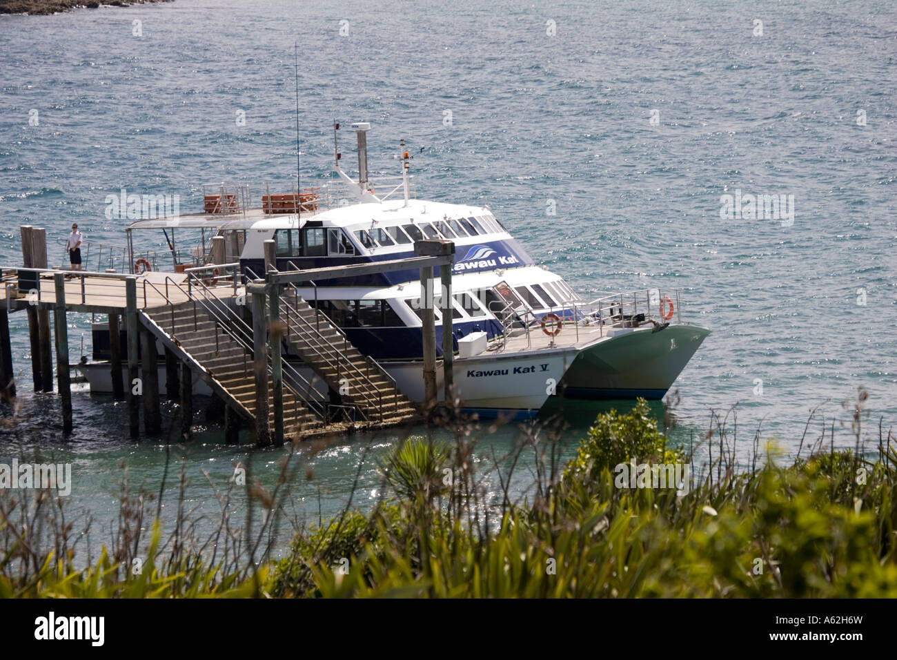 Kawau catamarano Kat portando i visitatori a Tiritiri Matangi Island Isola del nord della Nuova Zelanda Foto Stock