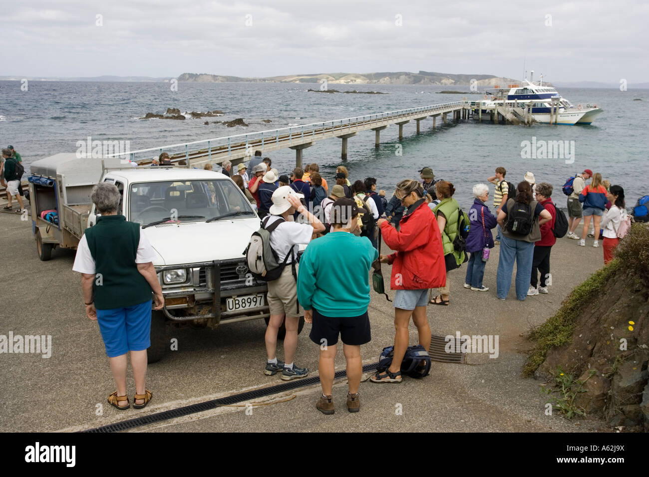 I visitatori che arrivano a Tiritiri Matangi Island Isola del nord della Nuova Zelanda Foto Stock