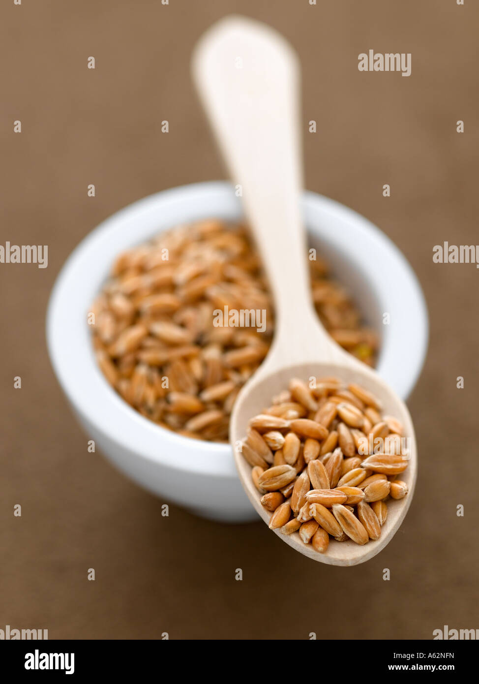 Farro Foto Stock