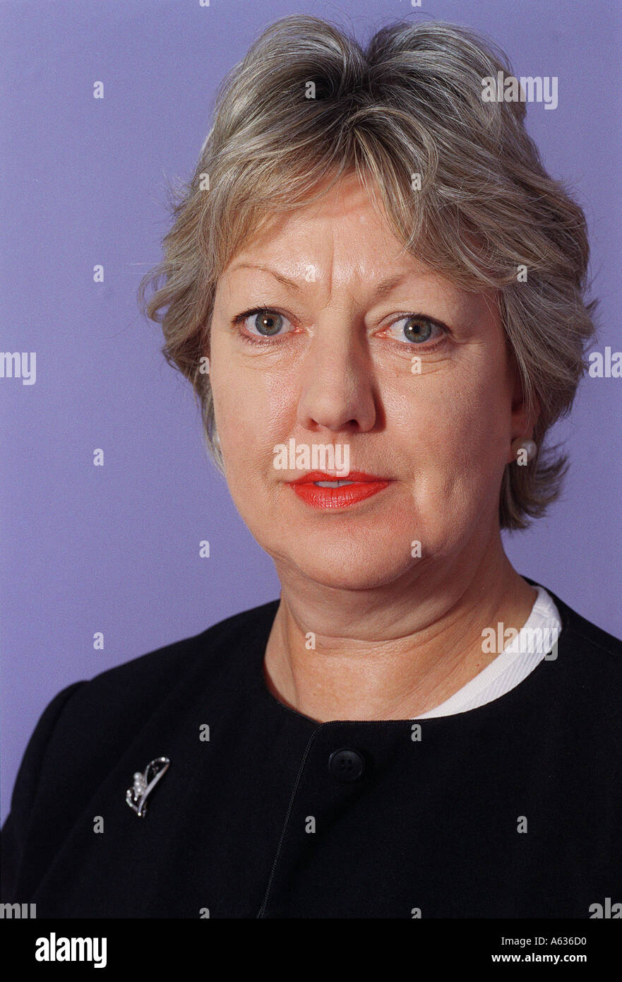 Janet Anderson MP manodopera per Rossendale e Darwen Foto Stock