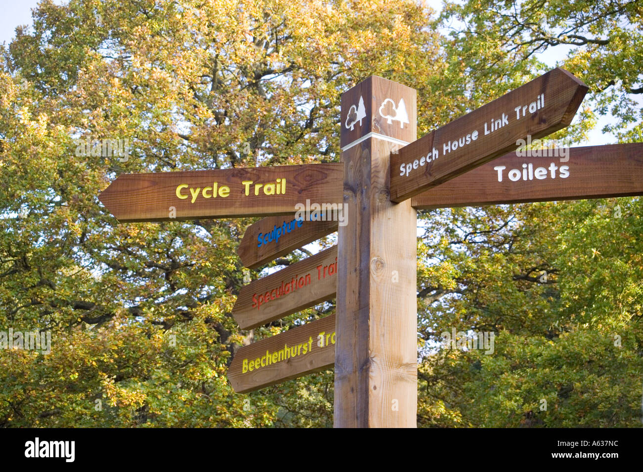 Cartello di informazioni turistiche nella Foresta di Dean a Beechenhurst, Gloucestershire Regno Unito Foto Stock