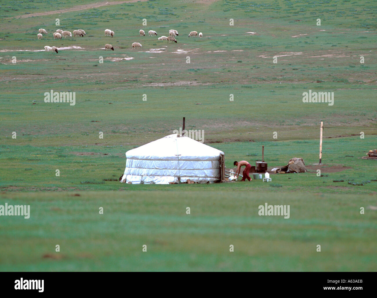 Un tradizionale ger in Mongolia Foto Stock
