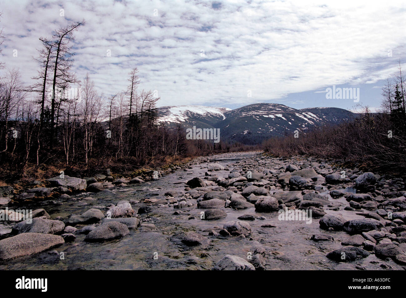 Fiume di montagna Naroda Urali polari in Russia Foto Stock