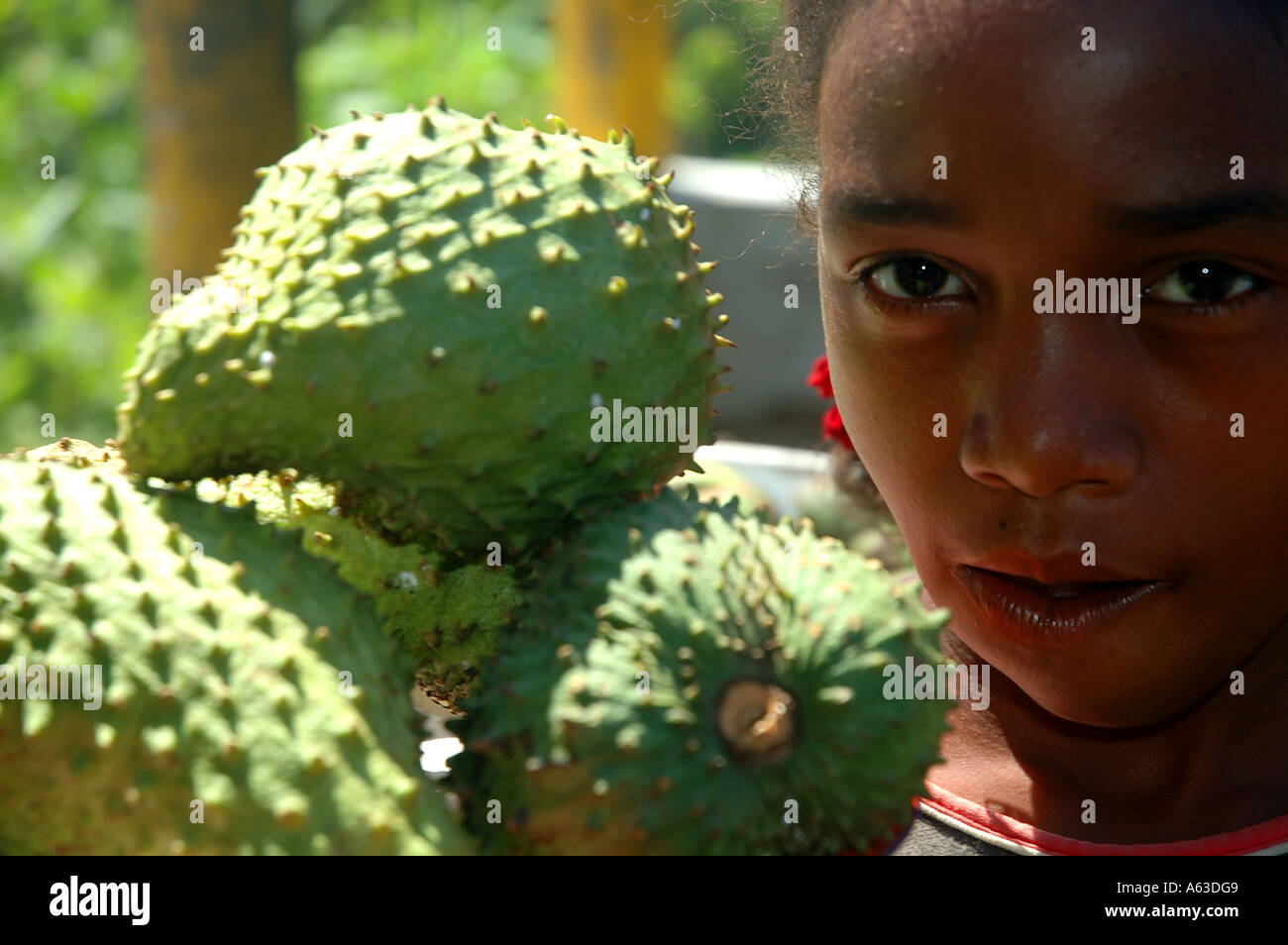 Ragazza la vendita di frutta tropicale in traffico, Brickaville, Madagascar. No signor Foto Stock