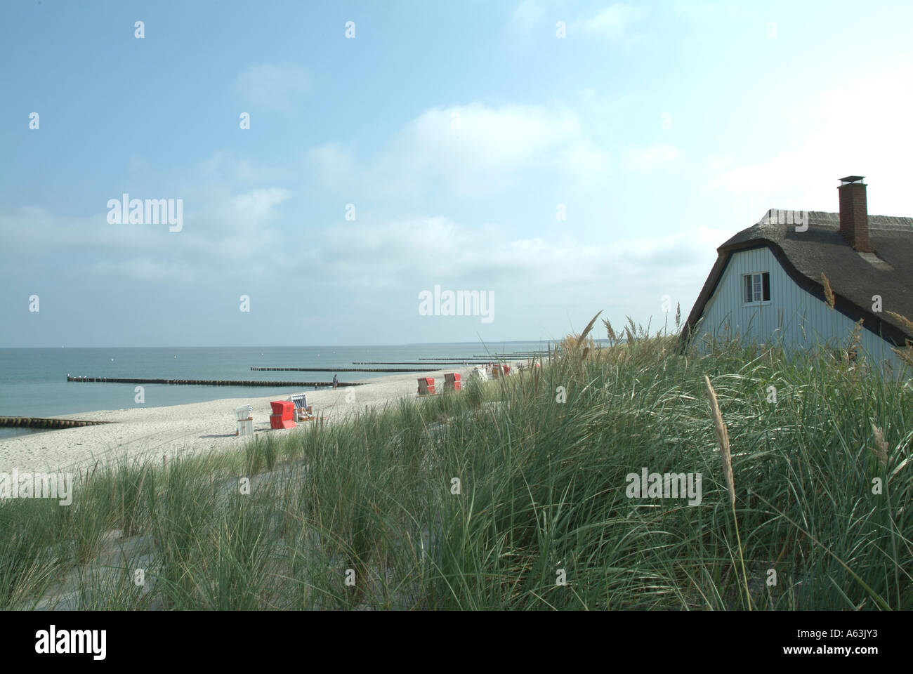Reed con casa sulla spiaggia, Fischland-Darss-Zingst, Ahrenshoop, Nordvorpommern, Meclenburgo-Pomerania Occidentale, Germania Foto Stock
