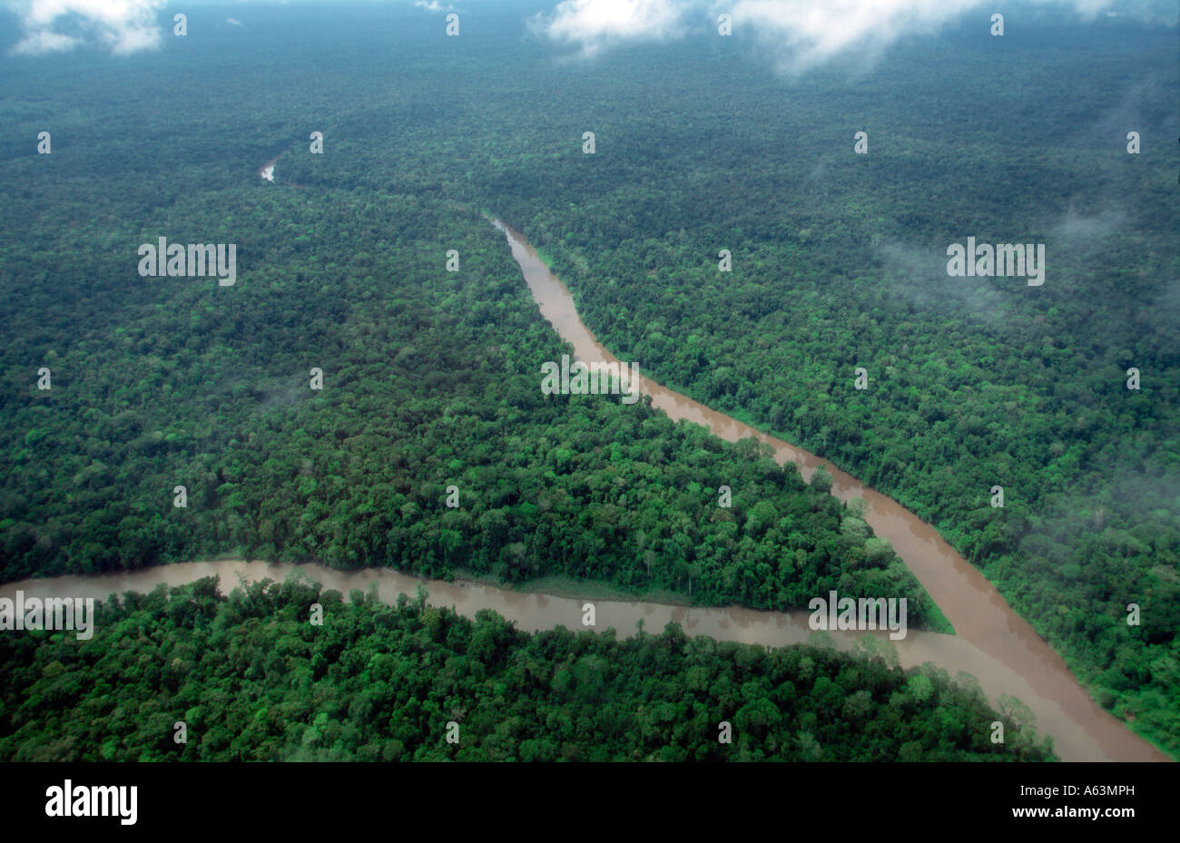 Papua Nuova Guina , foresta pluviale, Ok Tedi river, provincia occidentale Foto Stock