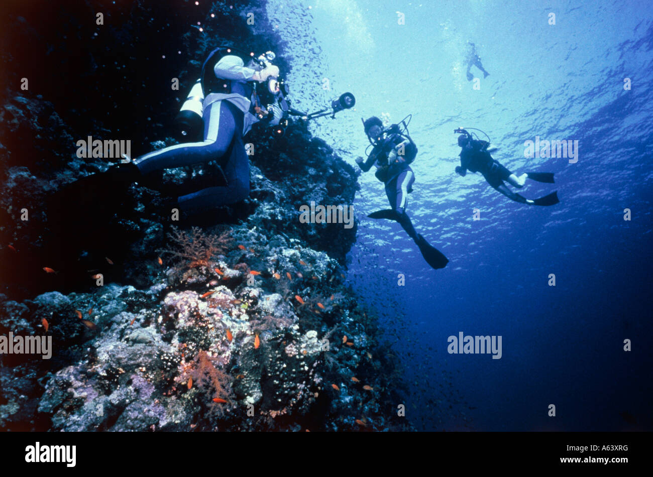 I subacquei in pendenza del reef isola di mwali le isole Comore Foto Stock