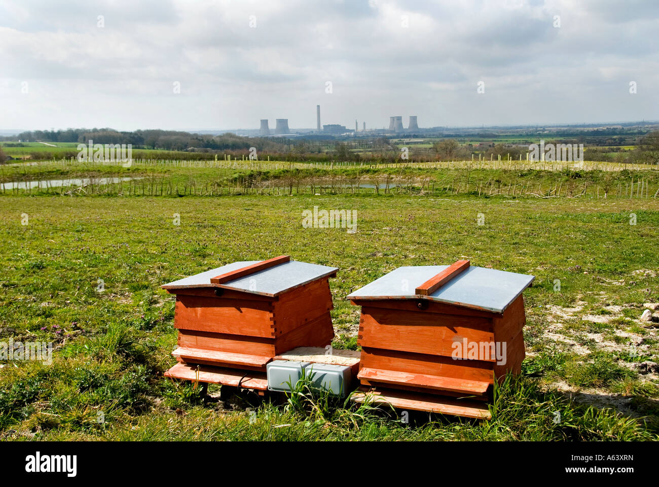 Alveari con uno sfondo di Didcot un Coal Fired Power Station Foto Stock