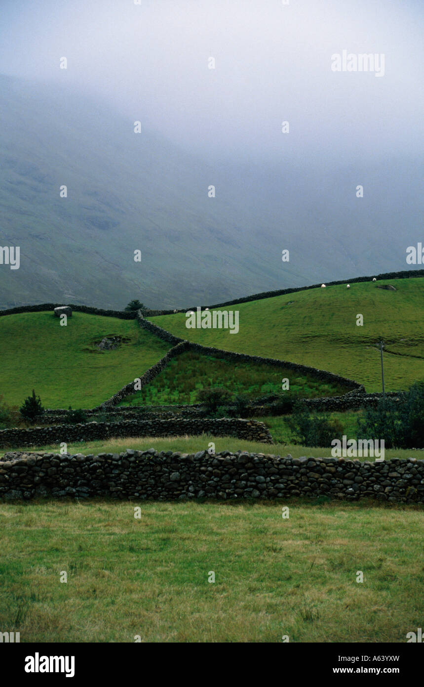 Campagna regione del Connemara contea di Galway provincia di connacht Irlanda Foto Stock