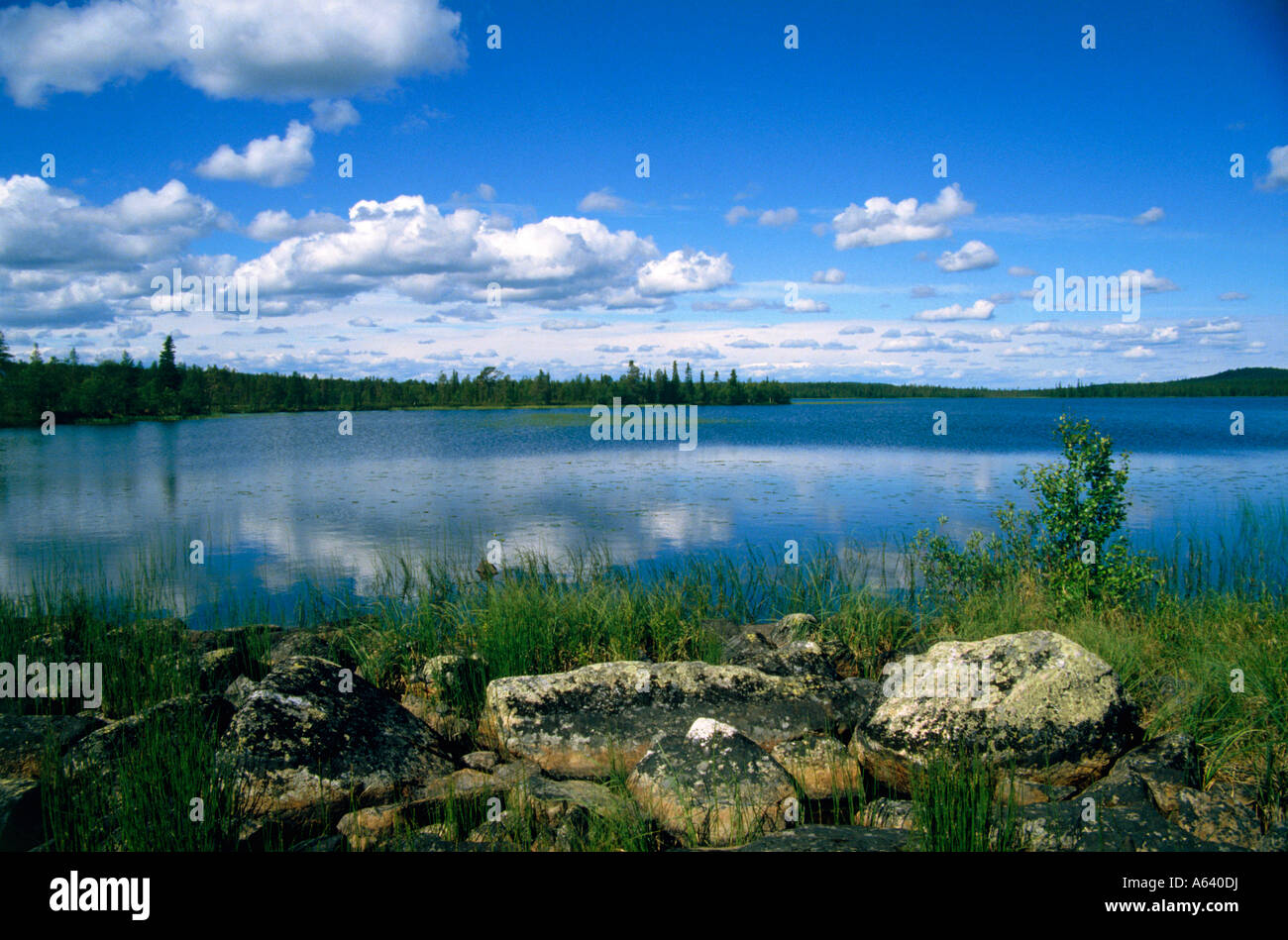 Lago vicino alla città di muonio regione della Lapponia Finlandia Foto Stock