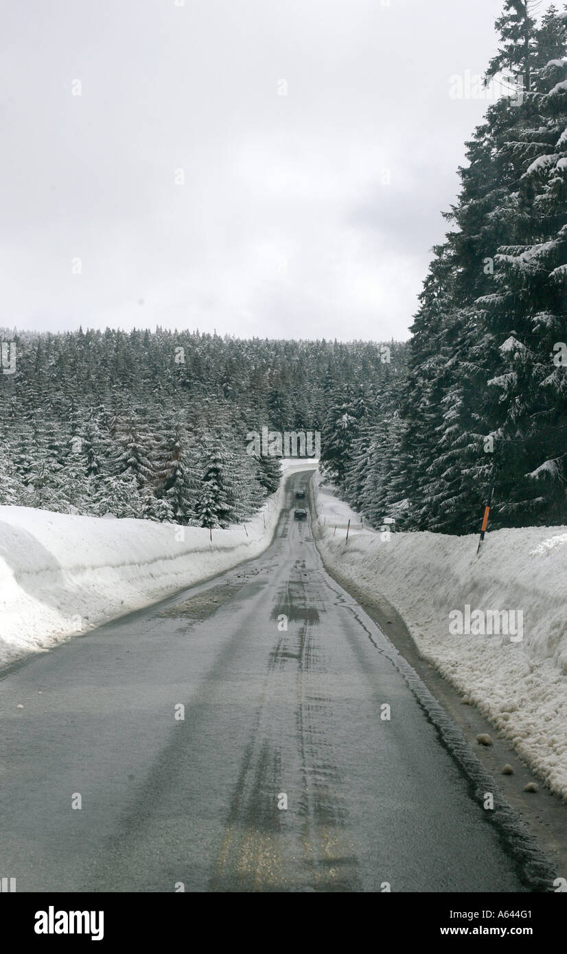 Corsia vuota nella foresta sulla strada bagnata attraverso i monti Metalliferi in inverno, Erz Monti Metalliferi, Bassa Sassonia, Germania Foto Stock