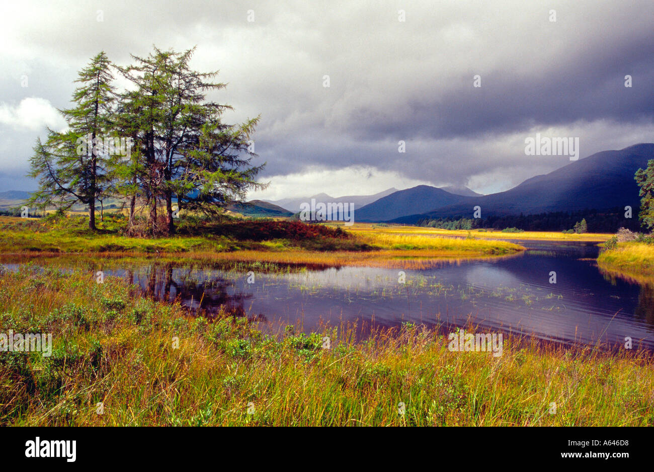 Loch Tulla vicino a Bridge of Orchy Scozia Scotland Foto Stock