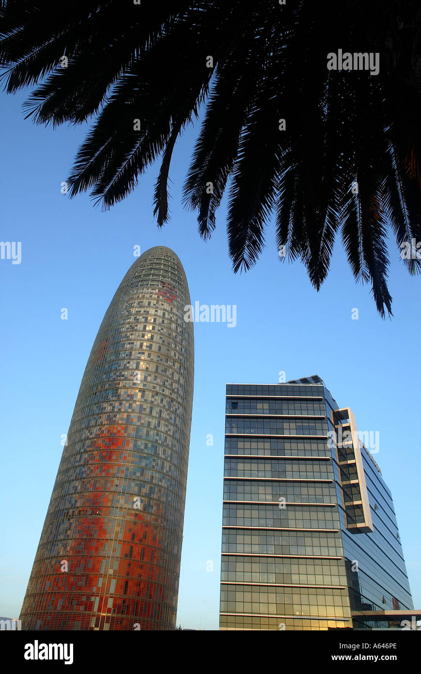 La Torre Agbar a Barcellona città Spagna progettato dall'architetto francese Jean Nouvel Foto Stock