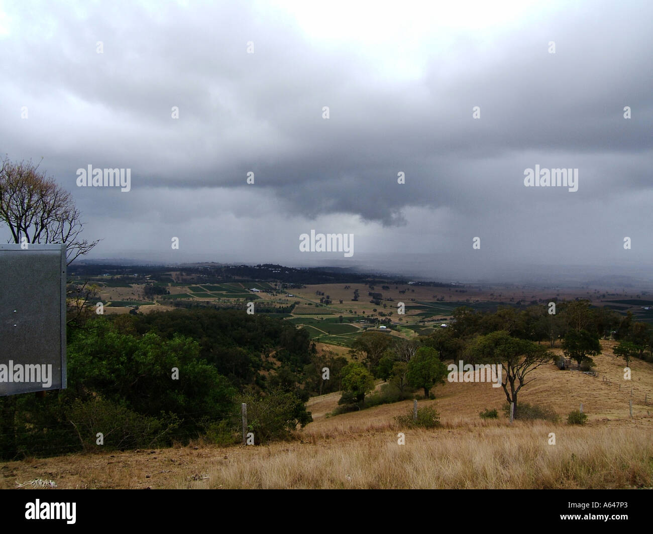 La Hunter Valley vigne , Nuovo Galles del Sud, Australia Foto Stock