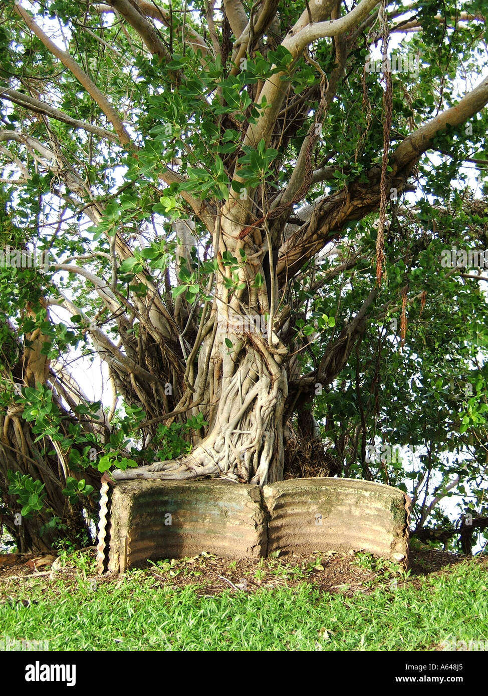 Darwin, Territorio del Nord, l'Australia Foto Stock