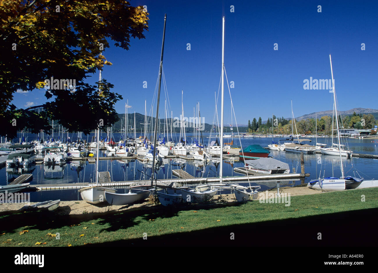 Marina di McCall al Lago Payette, Idaho, Stati Uniti d'America Foto Stock