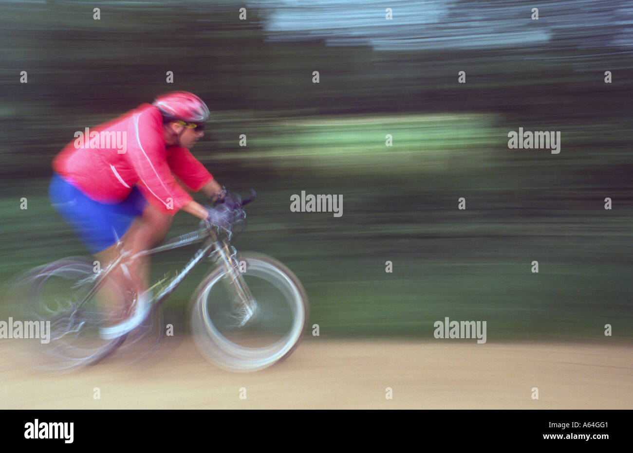 Credito foto DOUG BLANE Mountain bike presso il bike park Brickhill boschi Woburn Sands forest Center Parcs Foto Stock