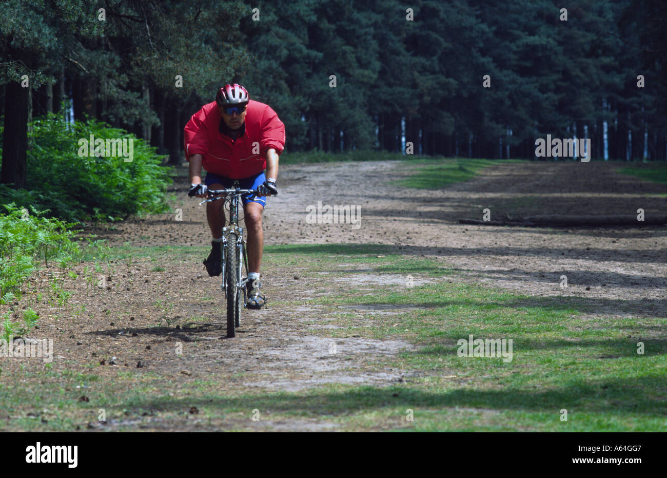 Mountain bike presso il bike park Brickhill boschi Woburn Sands forest Center Parcs Foto Stock