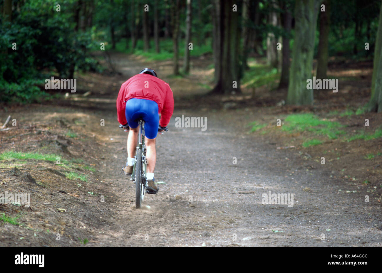 Credito foto DOUG BLANE Mountain bike presso il bike park Brickhill boschi Woburn Sands Foto Stock