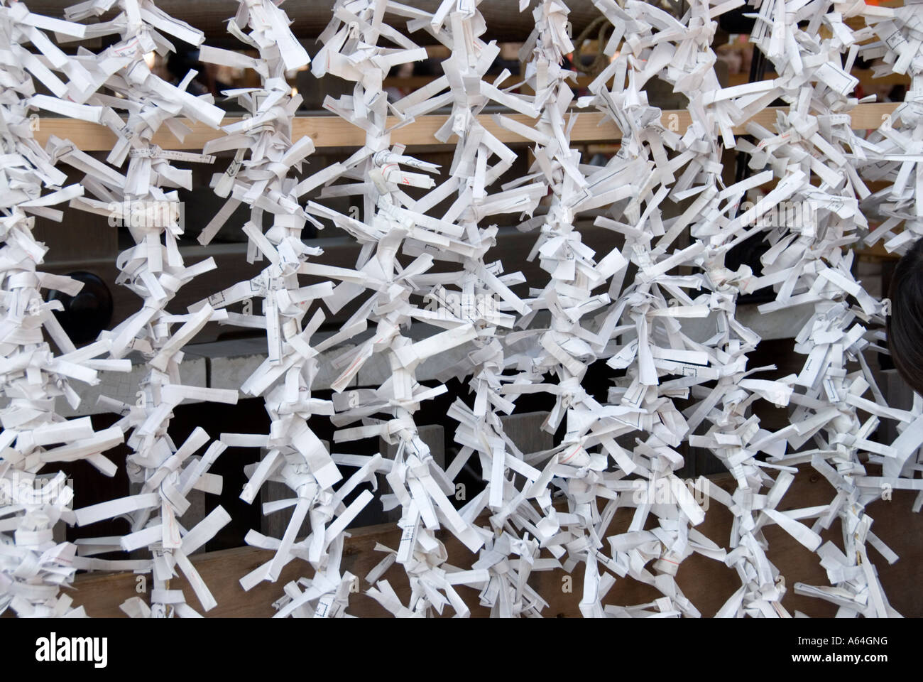 Carta Omikuji preghiere e la buona volontà dei messaggi legata al telaio in corrispondenza del santuario di Kyoto, Giappone Nuovo Anno 2006 Foto Stock