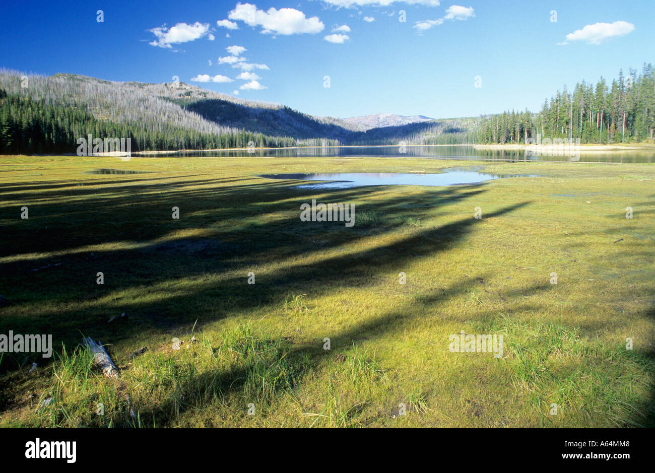 In alto lago Payette, Idaho, Stati Uniti d'America Foto Stock