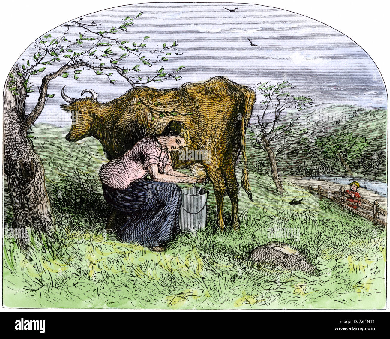 Giovane donna di mungere una mucca in un pascolo. Colorate a mano la xilografia Foto Stock