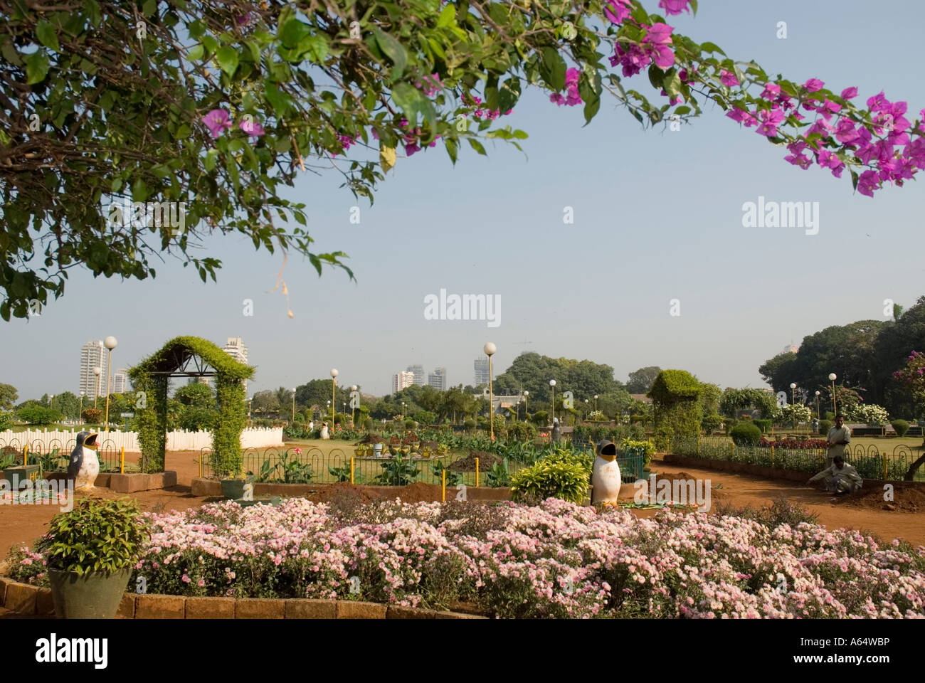Shri Phirozshah Mehta Giardino pensile sul Malabar hill Mumbai India Foto Stock Shri Phirozshah Mehta Giardino pensile sul Malabar hill Mumbai India Foto Stock