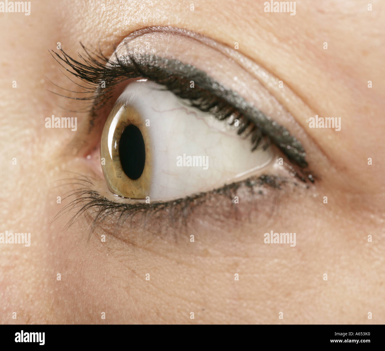 Profilo di close-up di una donna di occhio. Foto Stock