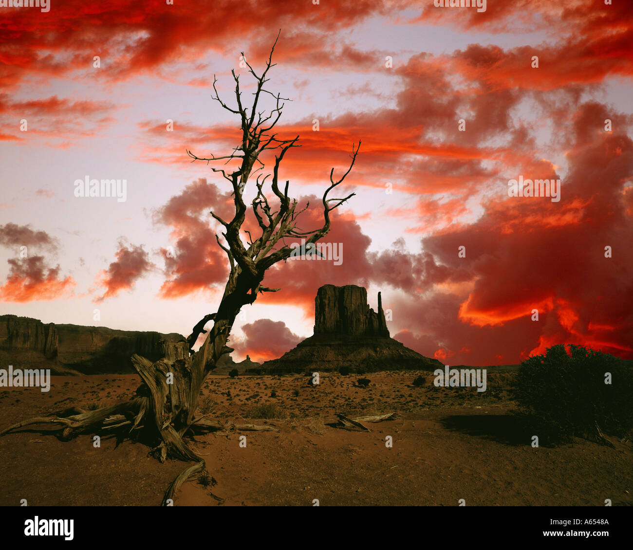 Il Monument Valley Tribal Park, Utah Foto Stock