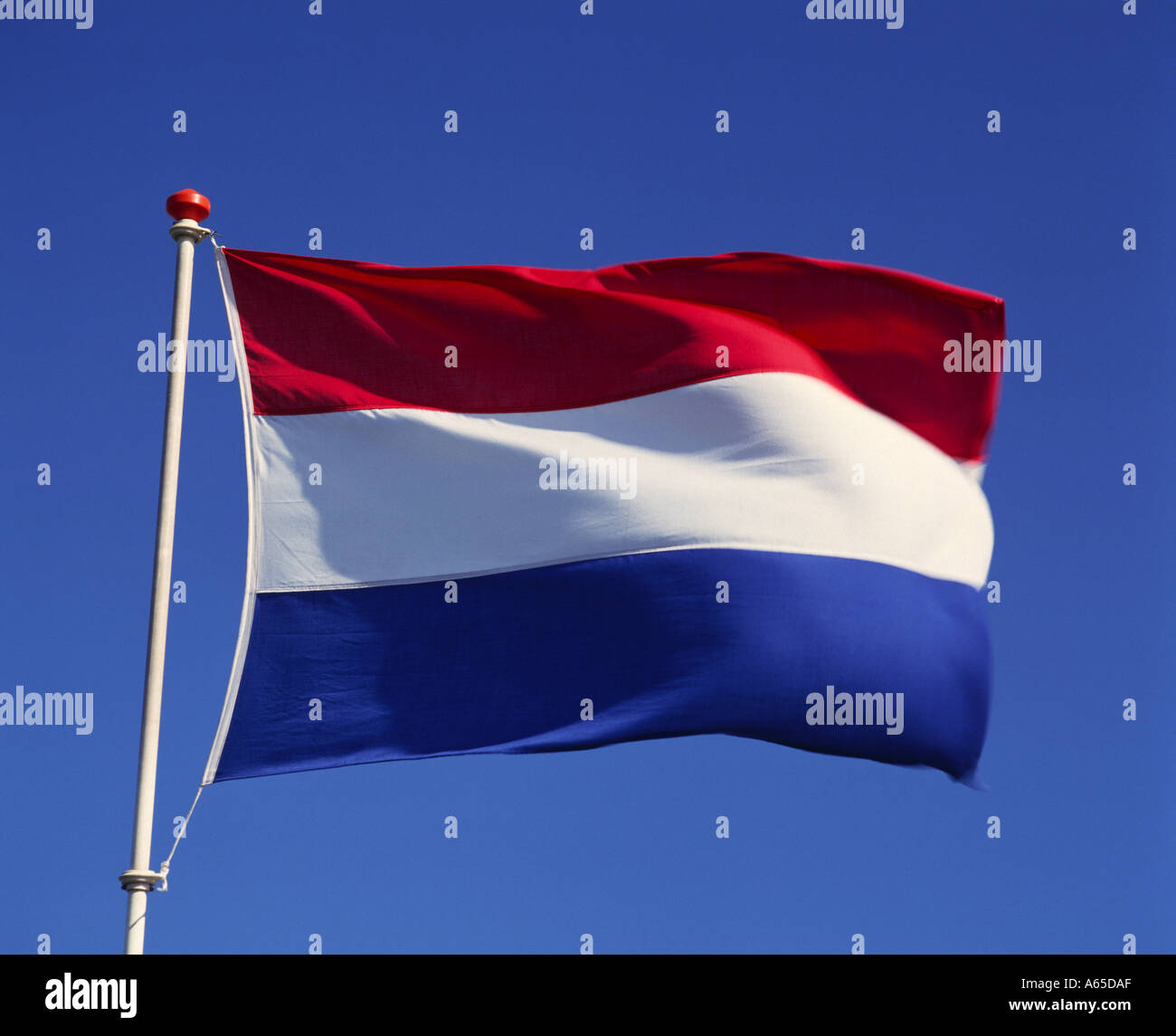 Bandiera olandese Foto Stock