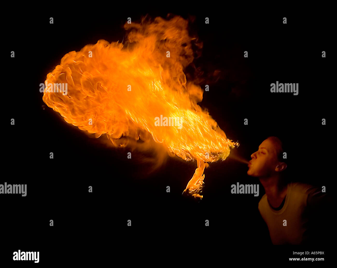 Femmina dello sfiatatoio di fuoco Foto Stock