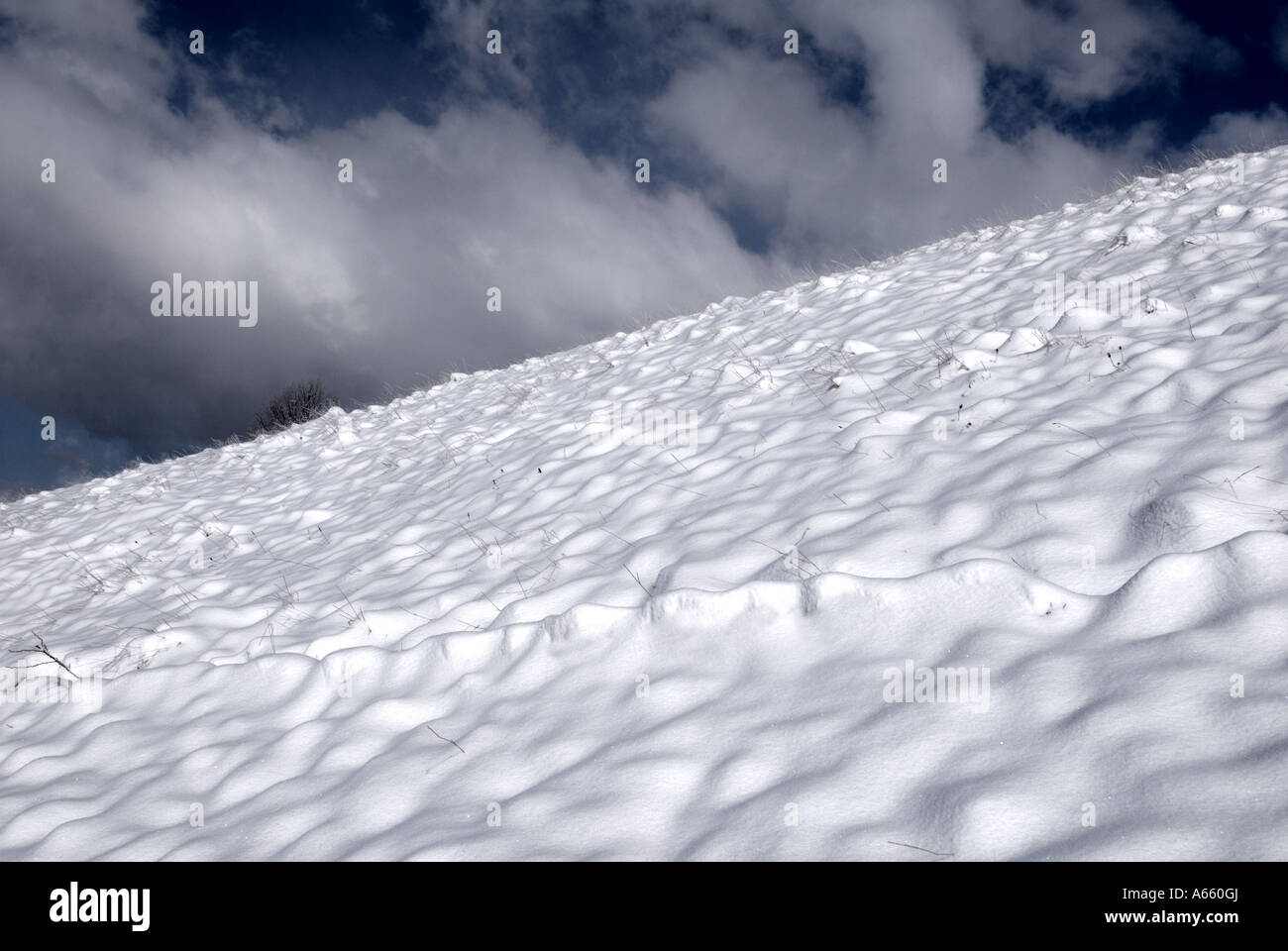 Snowy scena Villars sur Ollon Svizzera Alps Foto Stock