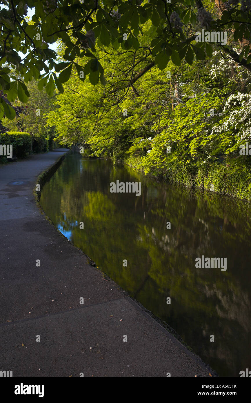 Sentiero verdeggiante vicino a Christchurch Priory, Dorset Foto Stock