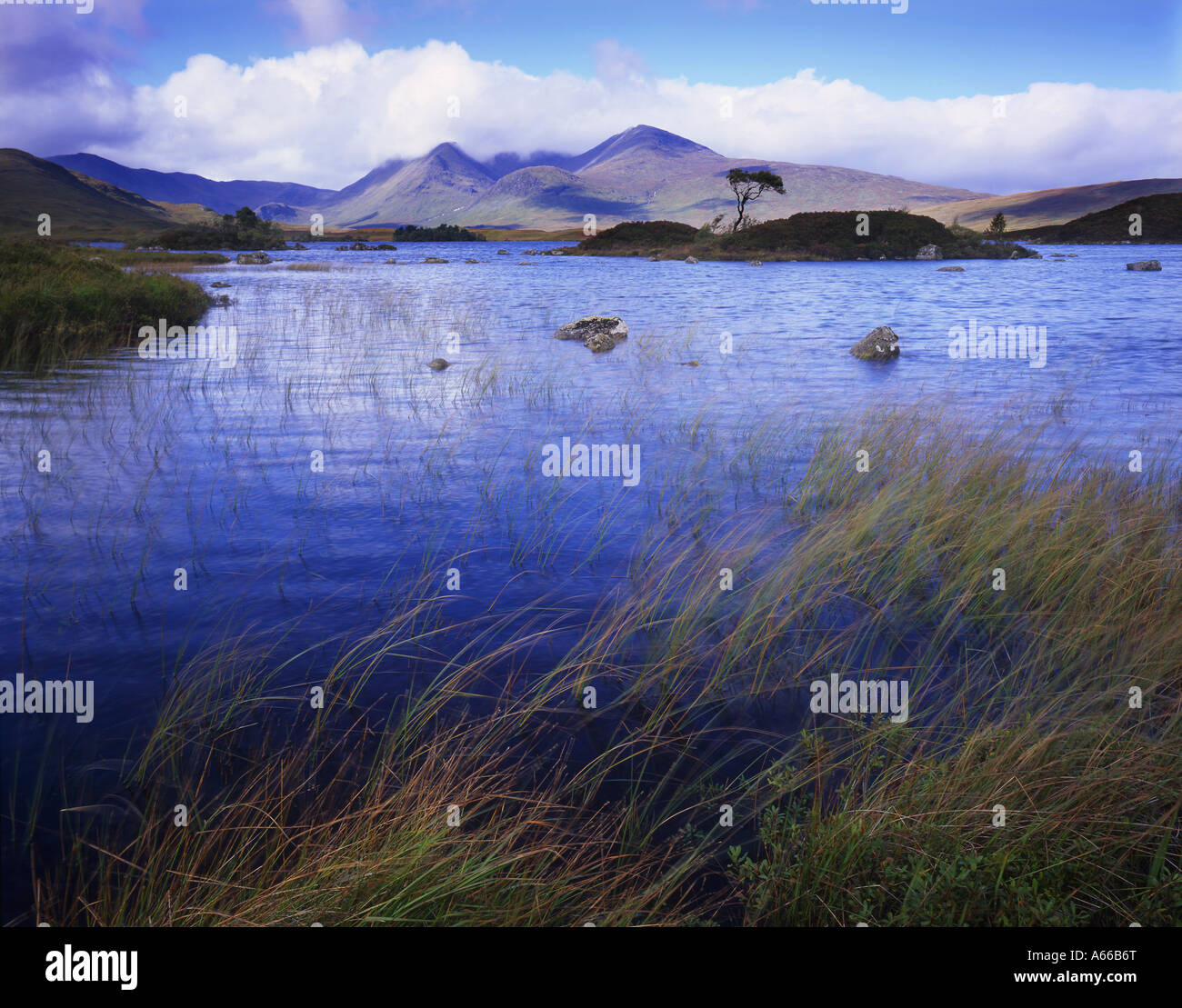 Le montagne del Blackmount visualizzati sul Loch un h-Achlaise in autunno. Foto Stock