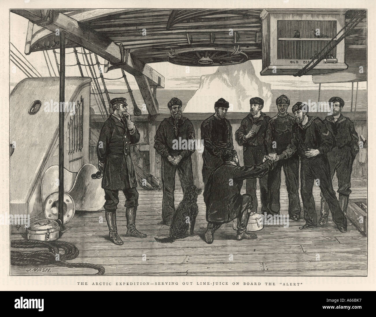 Prevenzione di scorbuto Foto Stock