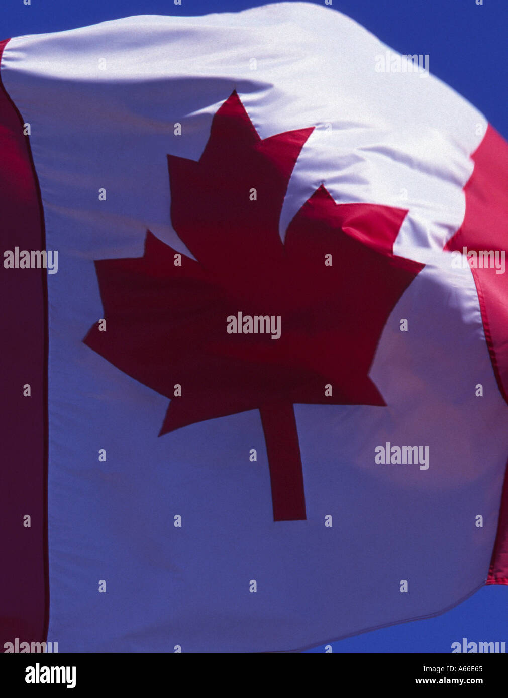 Bandiera canadese in Canada Foto Stock