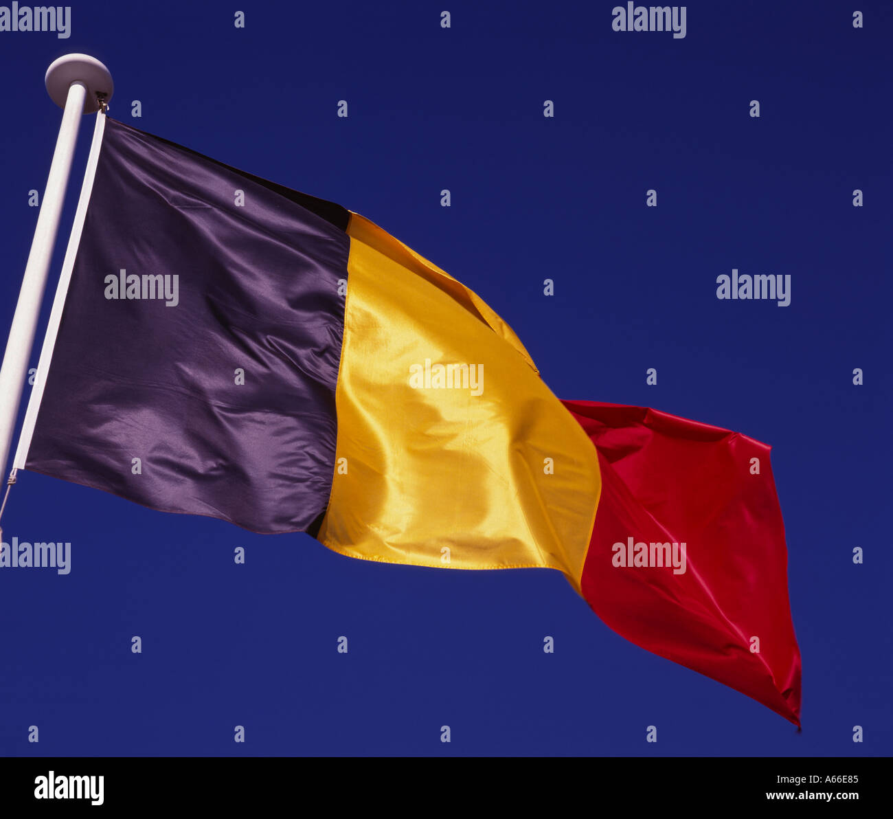 Bandiera belga Belgio Foto Stock