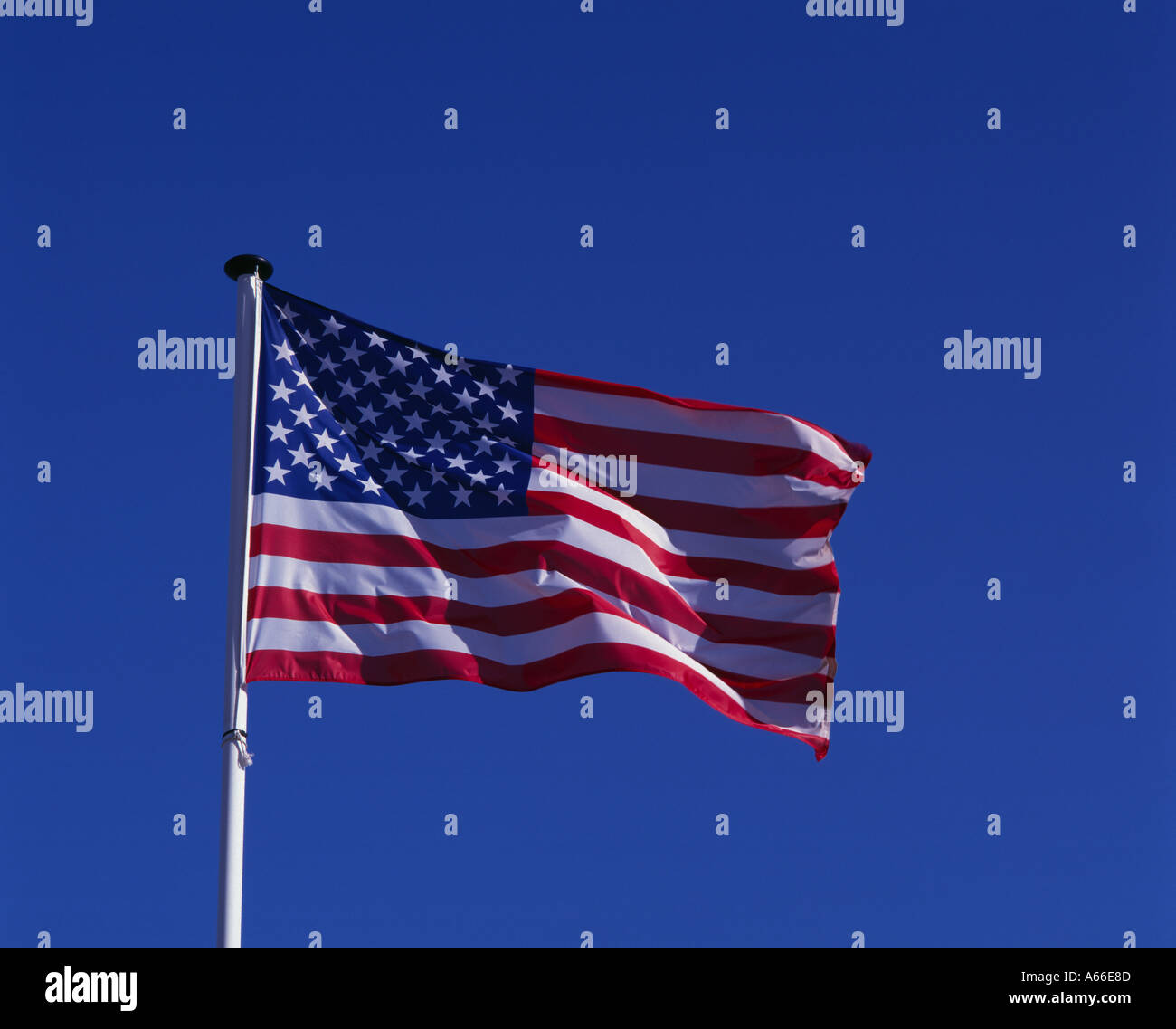 Noi bandiera, STATI UNITI D'AMERICA Foto Stock