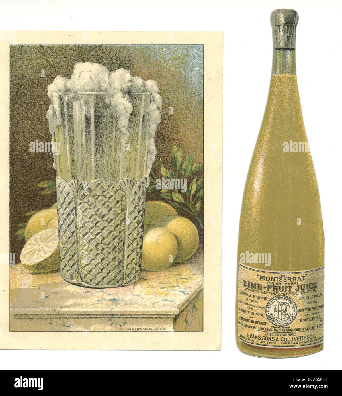 Montserrat succo Lime-Fruit annunci circa 1890 Foto Stock