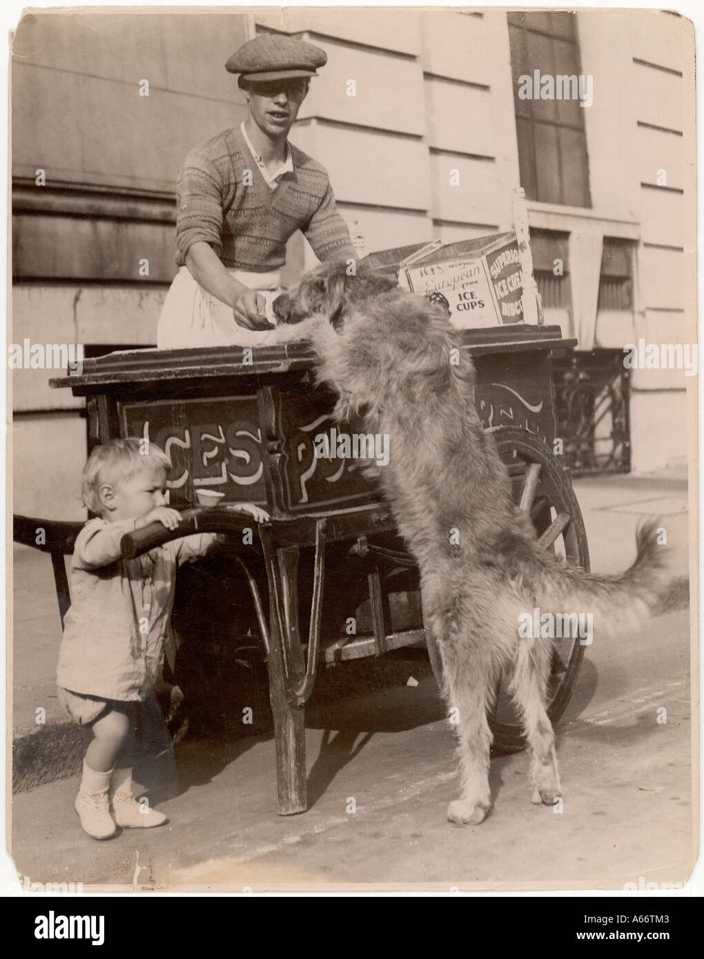 Gelato cane venditore Foto Stock