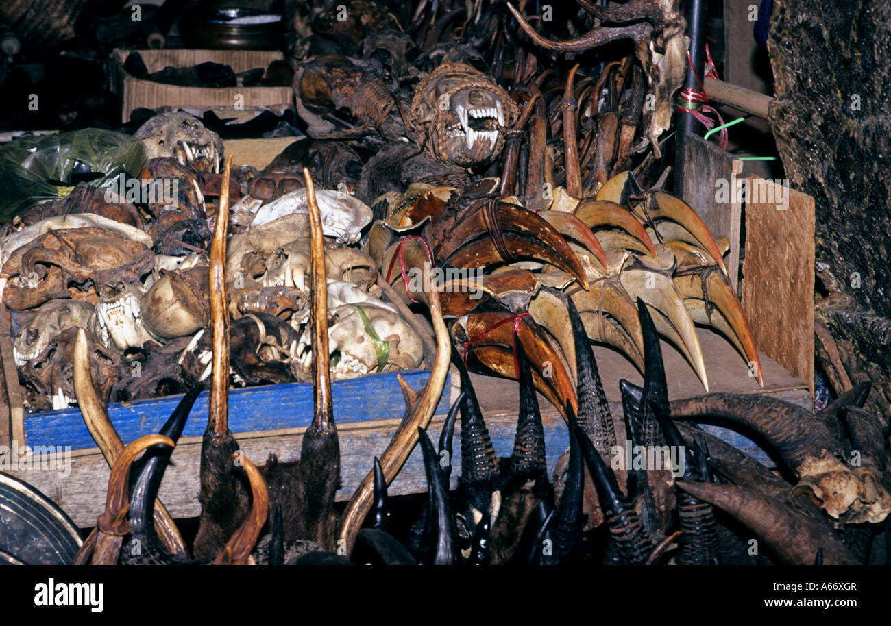 Trofei di caccia in vendita al mercato Tachileik, Myanmar,Birmania Foto  stock - Alamy