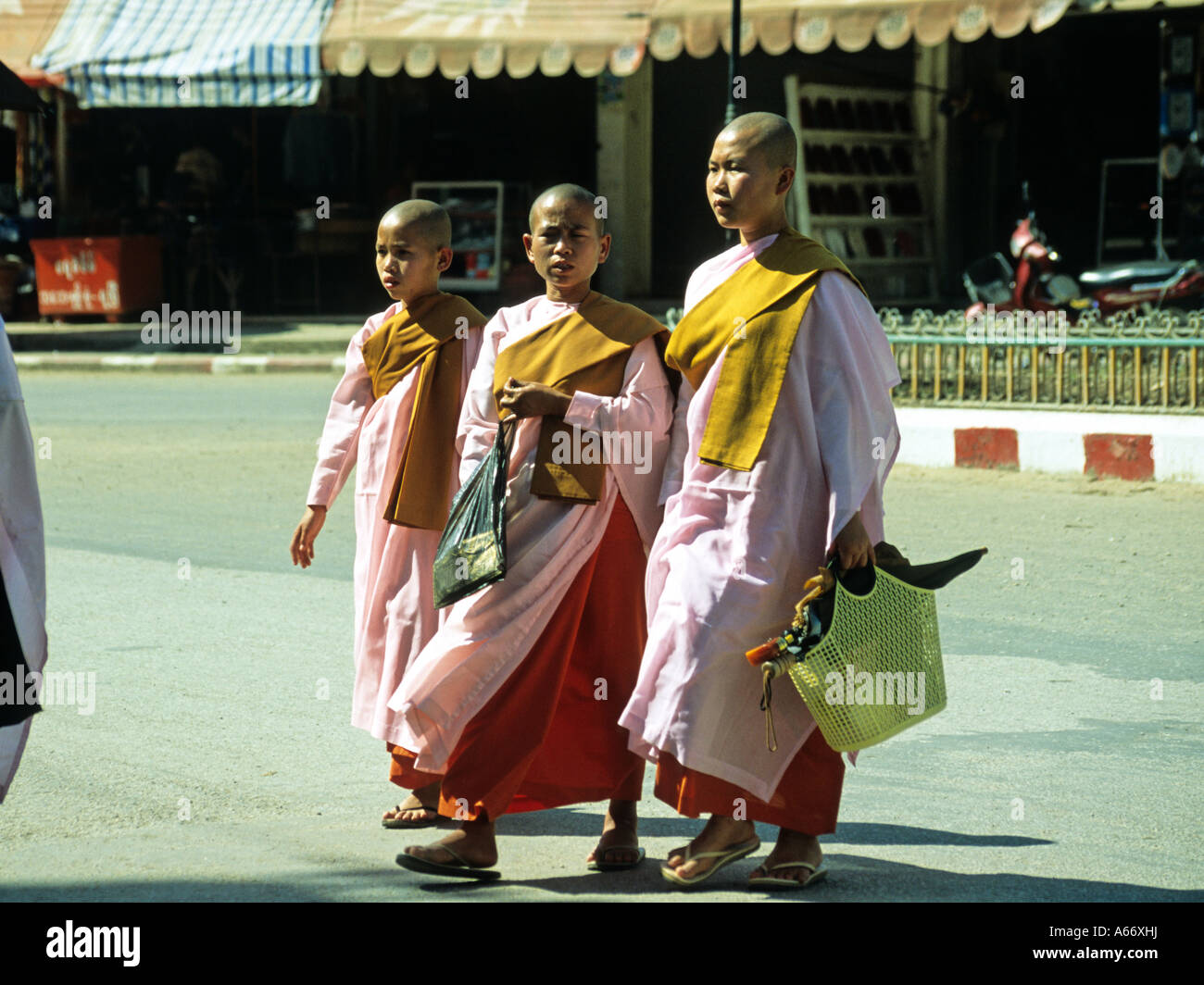 Le monache buddiste in Tachileik,,MYANMAR Birmania Foto Stock